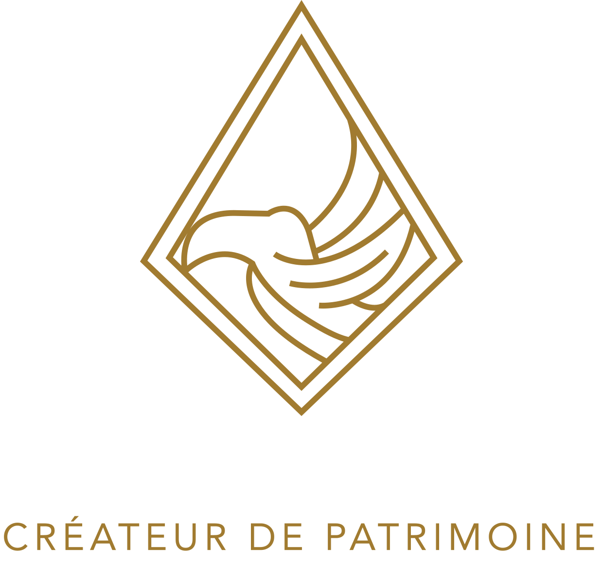 Toukan Conseil